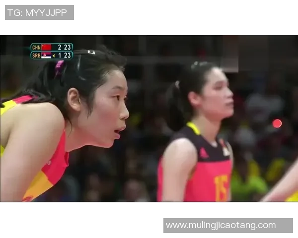 武汉排球队的拼搏之路:一段不屈不挠的排球奋斗史 武汉排球队的拼搏之路:一段不屈不挠的排球奋斗史