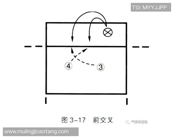 深圳排球队的战术分析与控制得失对比赛结果的影响探讨 深圳排球队的战术分析与控制得失对比赛结果的影响探讨