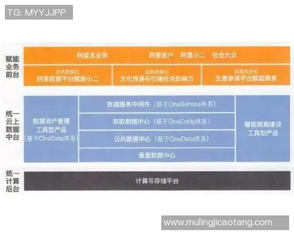 深圳羽毛球队的战术运营体系解析与实践经验分享 深圳羽毛球队的战术运营体系解析与实践经验分享