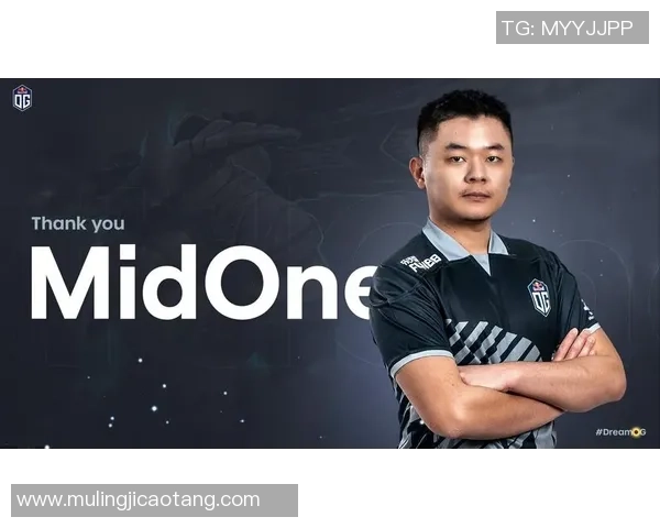 热议DOTA2TES战队灵活性变革引发的战术创新与未来展望