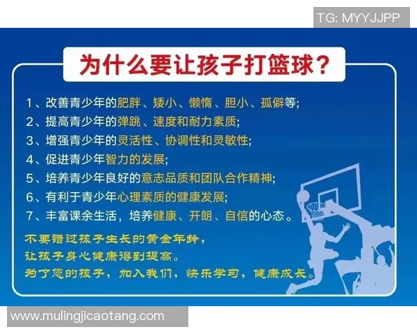 赵静独家篮球心得分享探索技巧与心态的完美结合 赵静独家篮球心得分享探索技巧与心态的完美结合