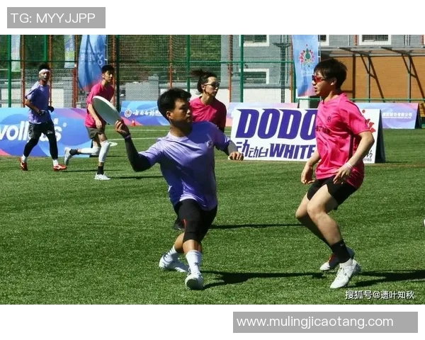 飞盘个人能力排行榜揭晓北京飞盘队荣登第五名引发关注