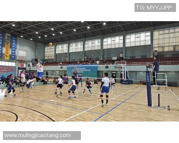 北京排球队创下排球速度新纪录引发全国关注与热议