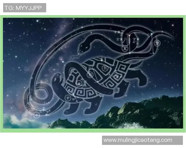 北方神秘与中央脉搏的交汇探秘与文化碰撞之旅 北方神秘与中央脉搏的交汇探秘与文化碰撞之旅